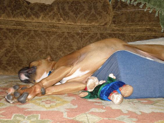 sleepy