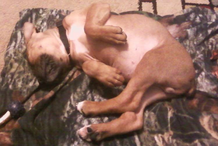 Sleepy