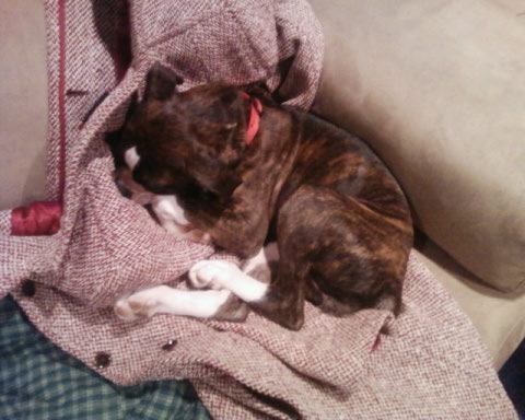 Sleepy10