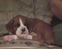 sleepy2