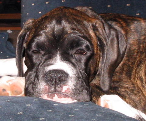Sleepy_Baby_