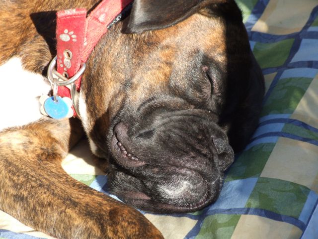sleepy_boy