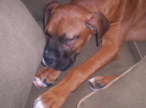 Sleepy_boy