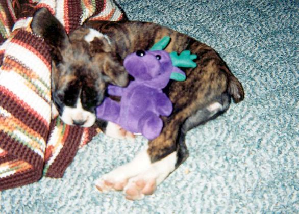 Sleepy_Girl