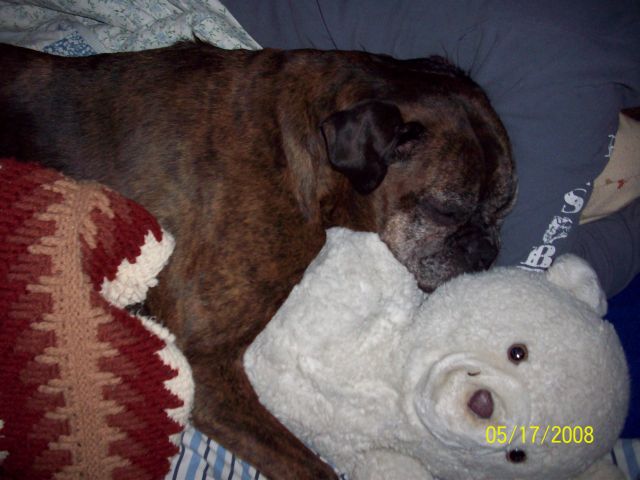 sleepy_muffin