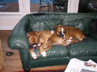 sleepy_pals1