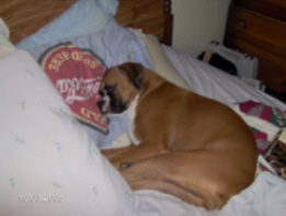sleepy_sadie