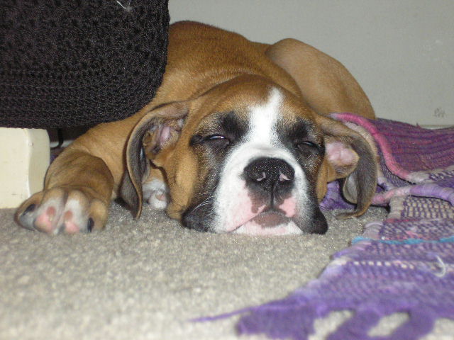 SLEEPY_TIME1