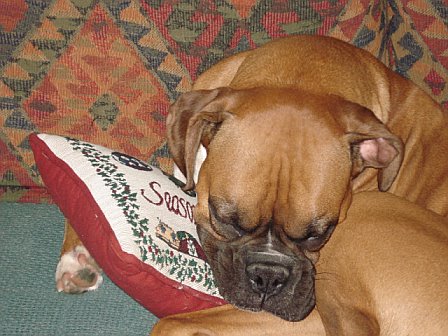 sleepybaby