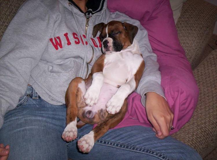 SleepyGirl
