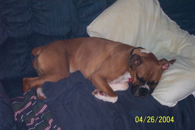 sleepyhead
