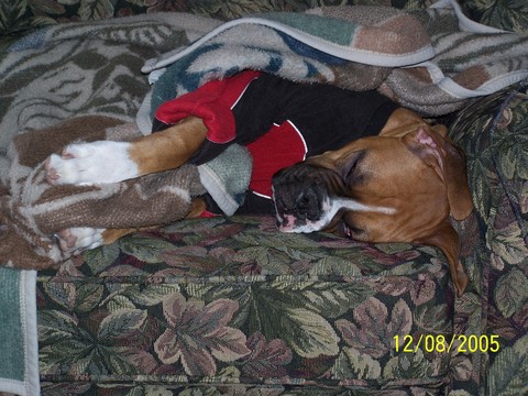 Sleepyhead
