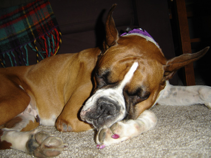 sleepyhead1