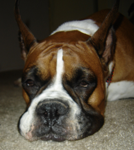 sleepyhead2