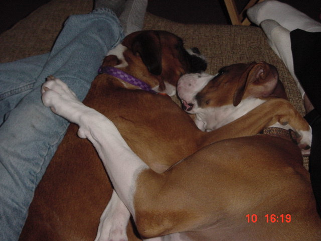 Sleepyheads