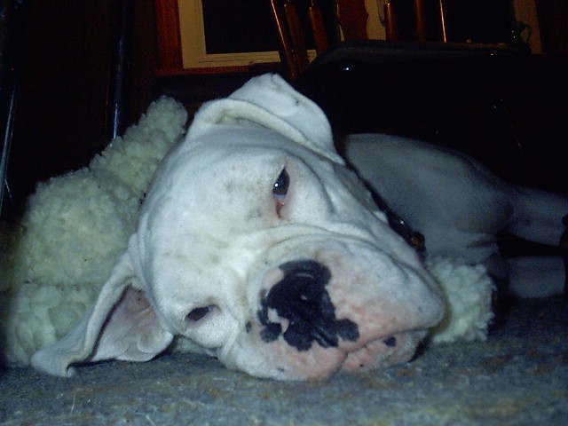 sleepytime