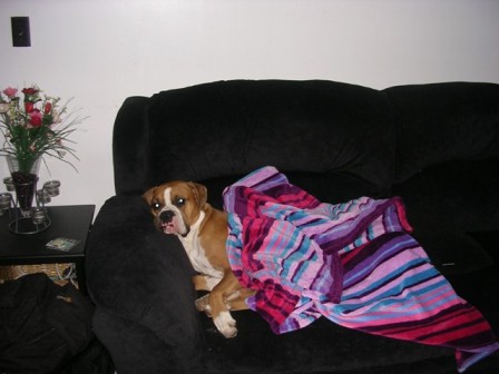 sleepytime