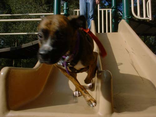SLIDE!!!!!!