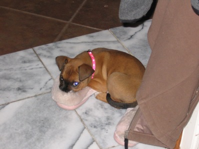 slipper girl