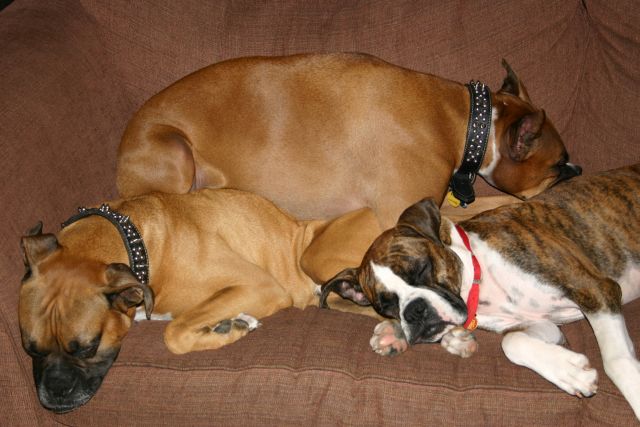 Slumber Party