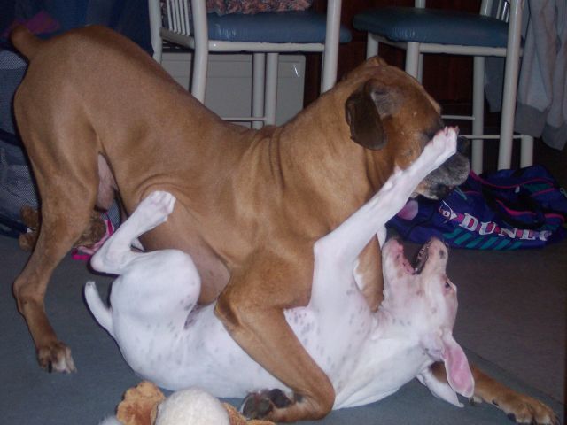 smack!!