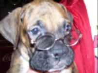 Smart boxer