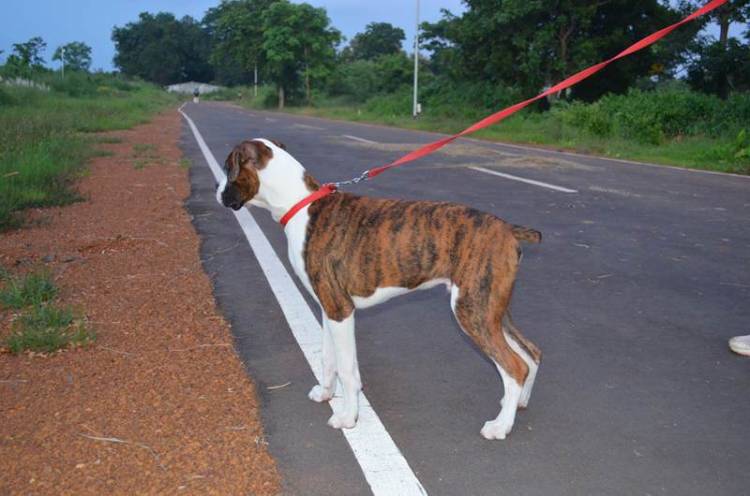 Smart boy