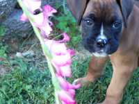 Smelling_the_flowers