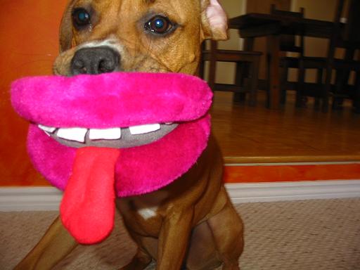 smile for the camera