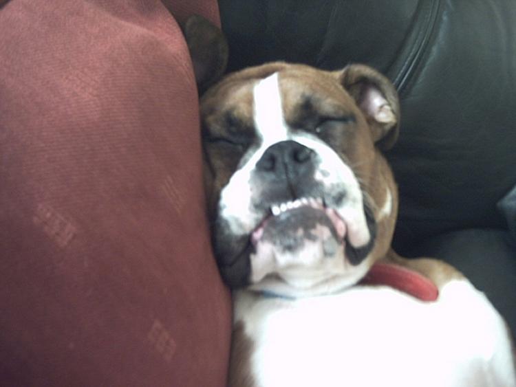 smile please