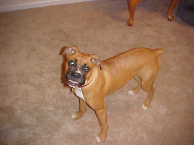 Smile