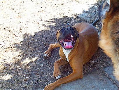 Smile!