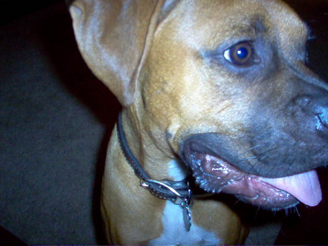Smile!