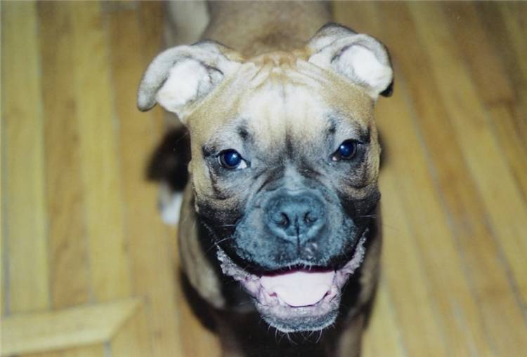 Smile