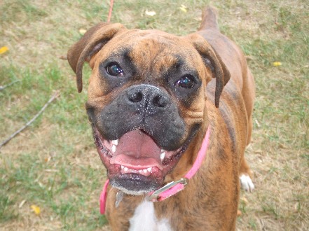 Smile!