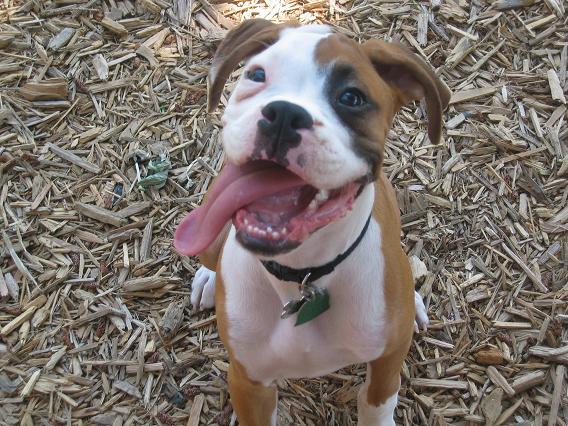Smile!