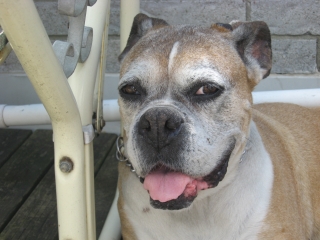 Smile!