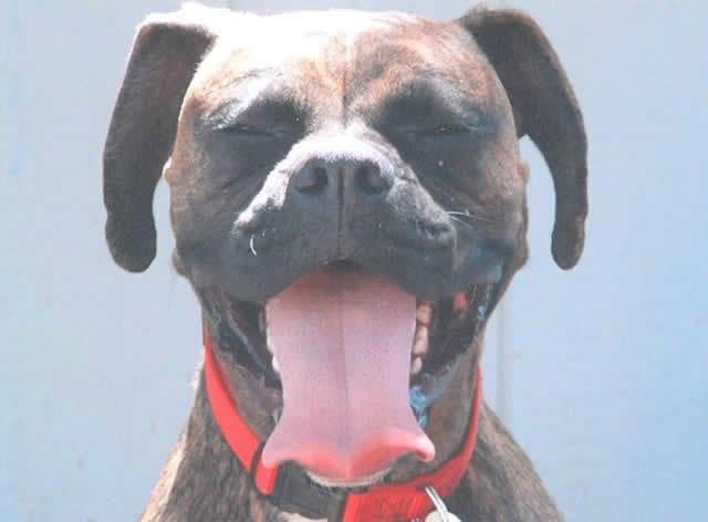 Smiling for the Camera