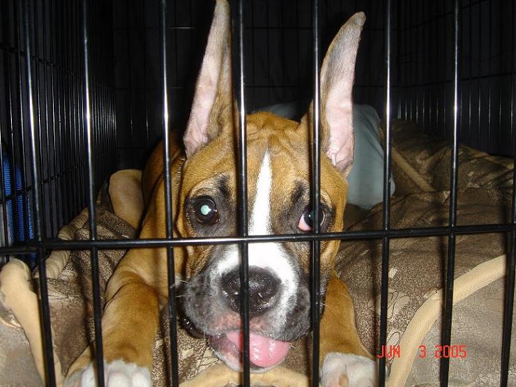 Smiling in jail