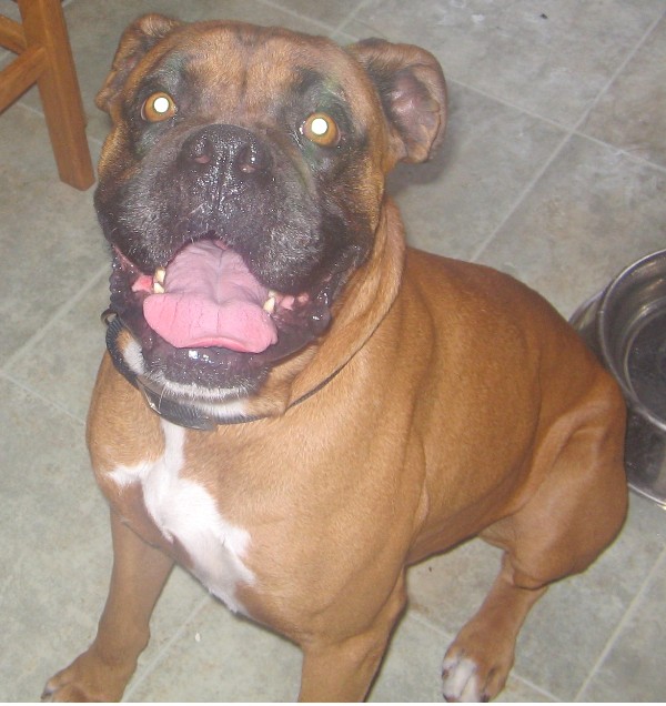 Smiling Sampson