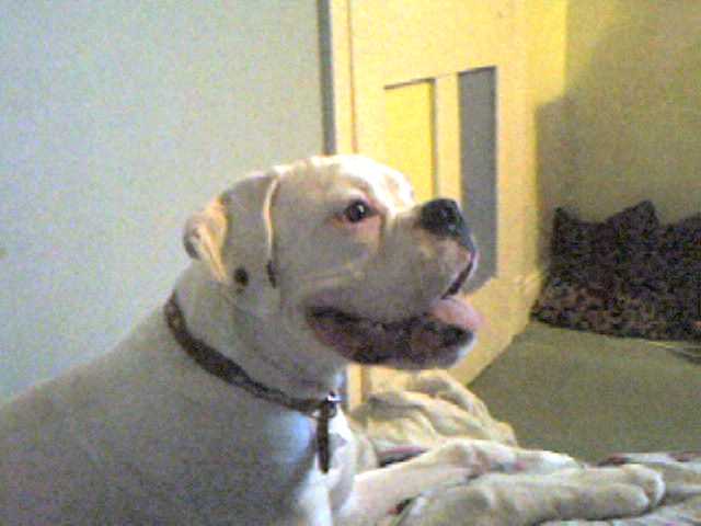 Smiling!