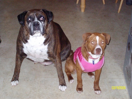 Smoke and his new buddy Izzy