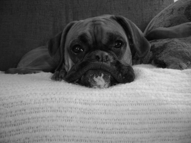 smooshface