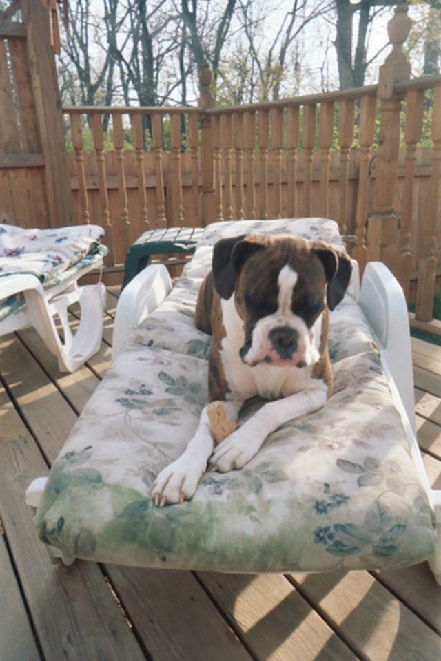 Snackin' and lounging