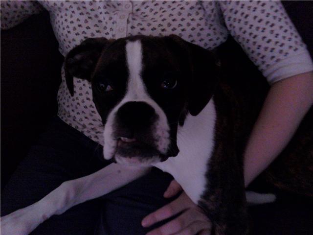 SNAGGLE TOOTH!