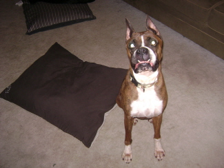 Snaggle toothed gal