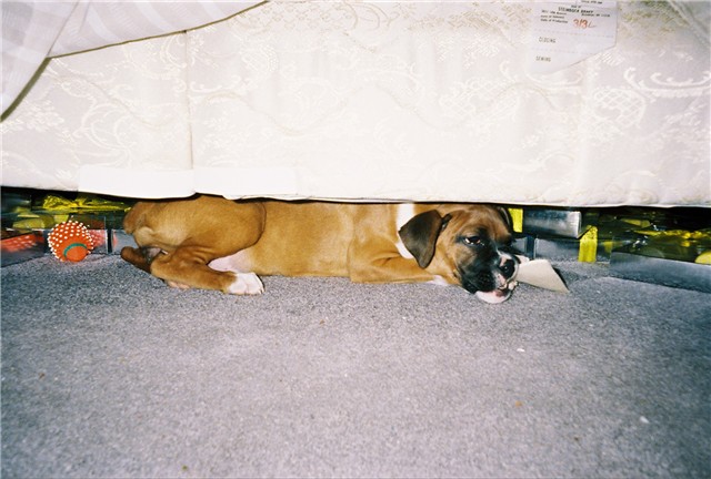Sneaky Girl
