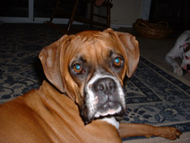Snickers Face!!