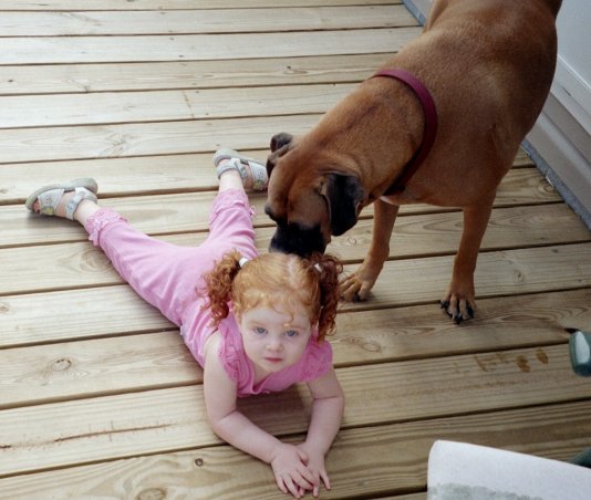 Sniff Sniff