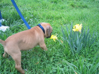 Sniffin The Flowers